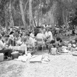 מדינה על האש – מנגל ביום העצמאות