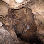 הפרוטה שהאירה ללוחמי בר כוכבא