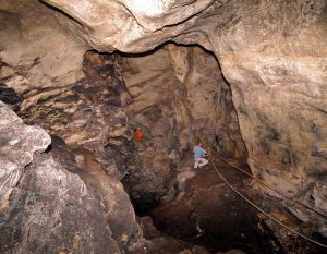 צילום: בועז זיסו