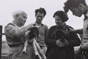 צילום: פריץ כהן, לע"מ