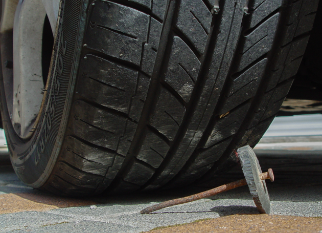 צילום: איתן טל