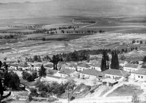 צילום: זולטן קלוגר, לע"מ