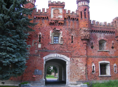 קרדיט: sezer laslo