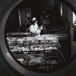 Births of a Nation – Jewish Birth Rate in Mandate Palestine