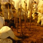 Sacrifice in Samaria – Samaritans