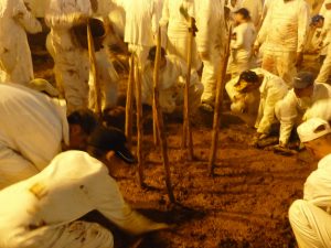 All Photos courtesy of Yigal Morag