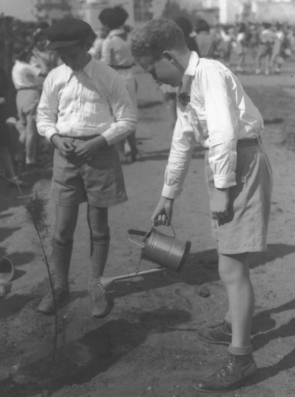 קרדיט: זולטן קלוגר, לע"מ