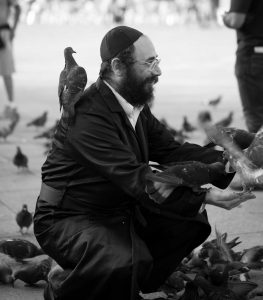 Why do such different Jewish communities all feed birds? A Jew distributing food to pigeons in Piazzo San Marco, Venice | Photo: oliale72