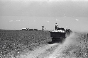 Truck convoy bringing supplies to Negba, 1939 I Photo: Rubinstein, JNF Photo Archive
