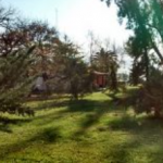 בית יהודי קטן בערבה – א’ אייר התרנ”ב – 28 באפריל 1892